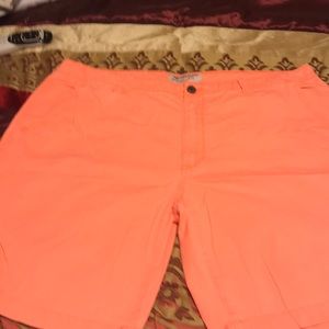 Size 42 Salmon Arizona Shorts